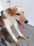 Princesa