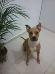 BIA