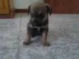 princesa