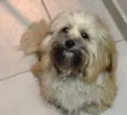 Lucy
