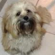 Lucy