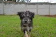 AMORINHA!