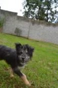 AMORINHA, princesa