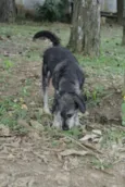 SULTÃO, uma fofura!