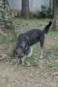 SULTÃO, uma fofura!