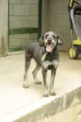 SULTÃO, uma fofura!