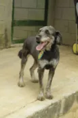 SULTÃO, uma fofura!