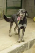 SULTÃO, uma fofura!