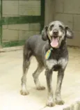 SULTÃO, uma fofura!