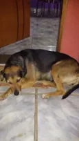 Preta