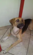 Kika