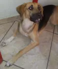 Kika