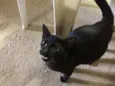 Nina
