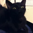 Nina