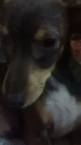não tem nome