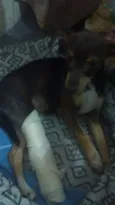 não tem nome
