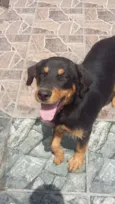 Penelope