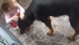 Penelope