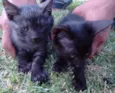 Sem nome 