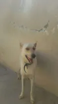 Frederico