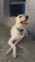 Frederico