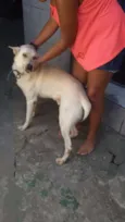 Frederico