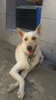 Frederico