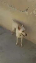 Frederico