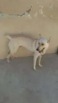 Frederico