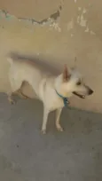 Frederico