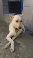 Frederico