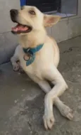 Frederico