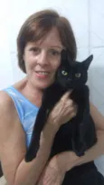 Gatinho