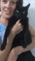 Gatinho