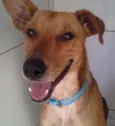 Xavier