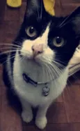 Linda