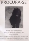 Poli GRATIFICA