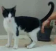 Não tem nome