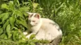 Marie