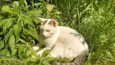 Marie