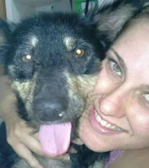 Cachorro raça SRD idade 6 ou mais anos nome VEIA