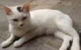 Marie