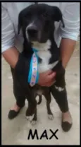 Max