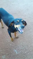 Neguinha
