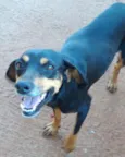 Neguinha
