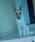 belynha
