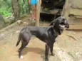 não sabemos