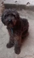 Beethoven