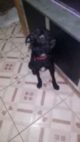 Pretinho
