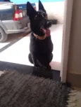 LUA
